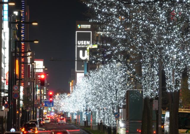 さっぽろホワイトイルミネーション駅前通会場