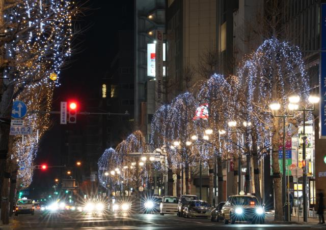 さっぽろホワイトイルミネーション南一条通会場