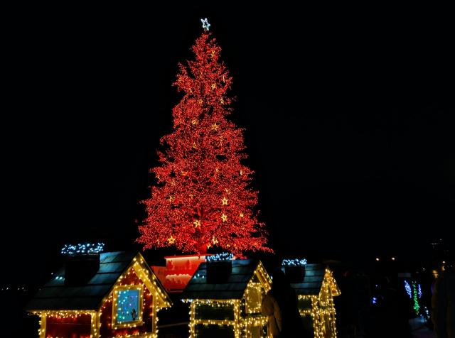 はこだてクリスマスファンタジー