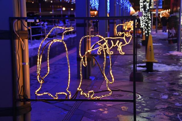 ユキノワ アサヒカワ 〜雪と光がつなぐ街〜