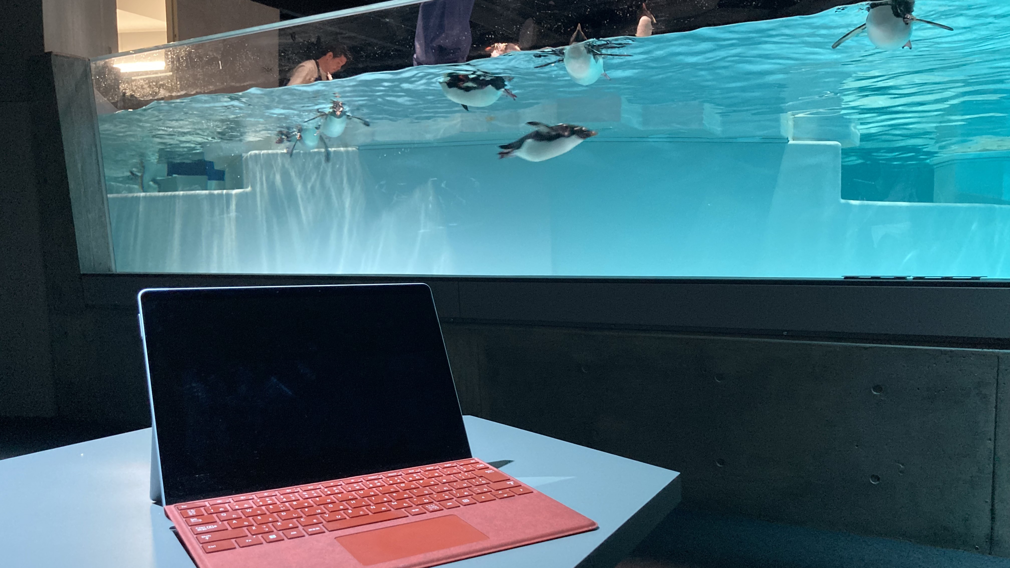 ペンギン見ながらコワーキング最高！Netflix『ボーイフレンド』ロケ地の聖地巡礼でも話題【AOAO SAPPORO】