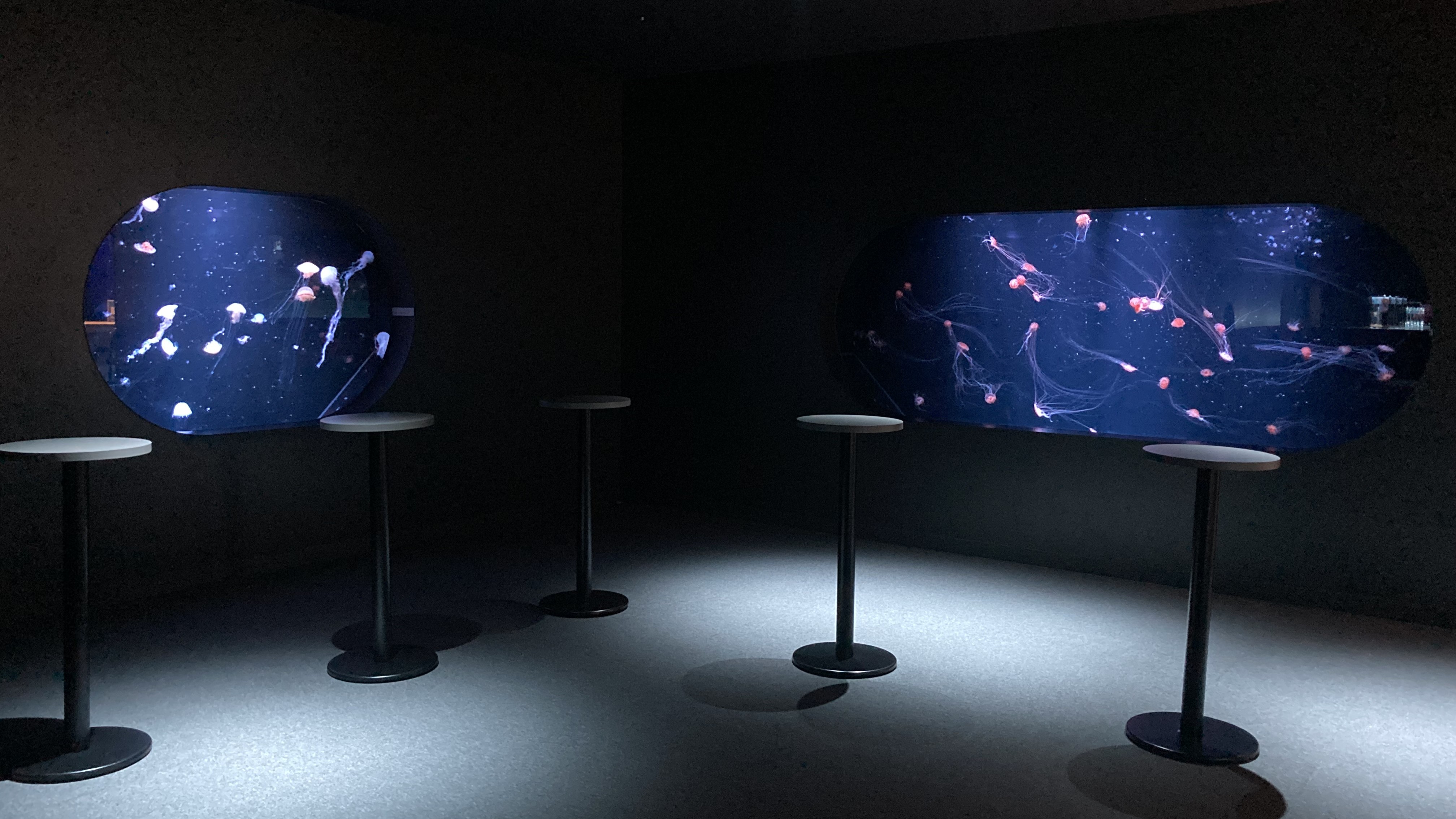 『ボーイフレンド シーズン2』の撮影で使用されたエリア