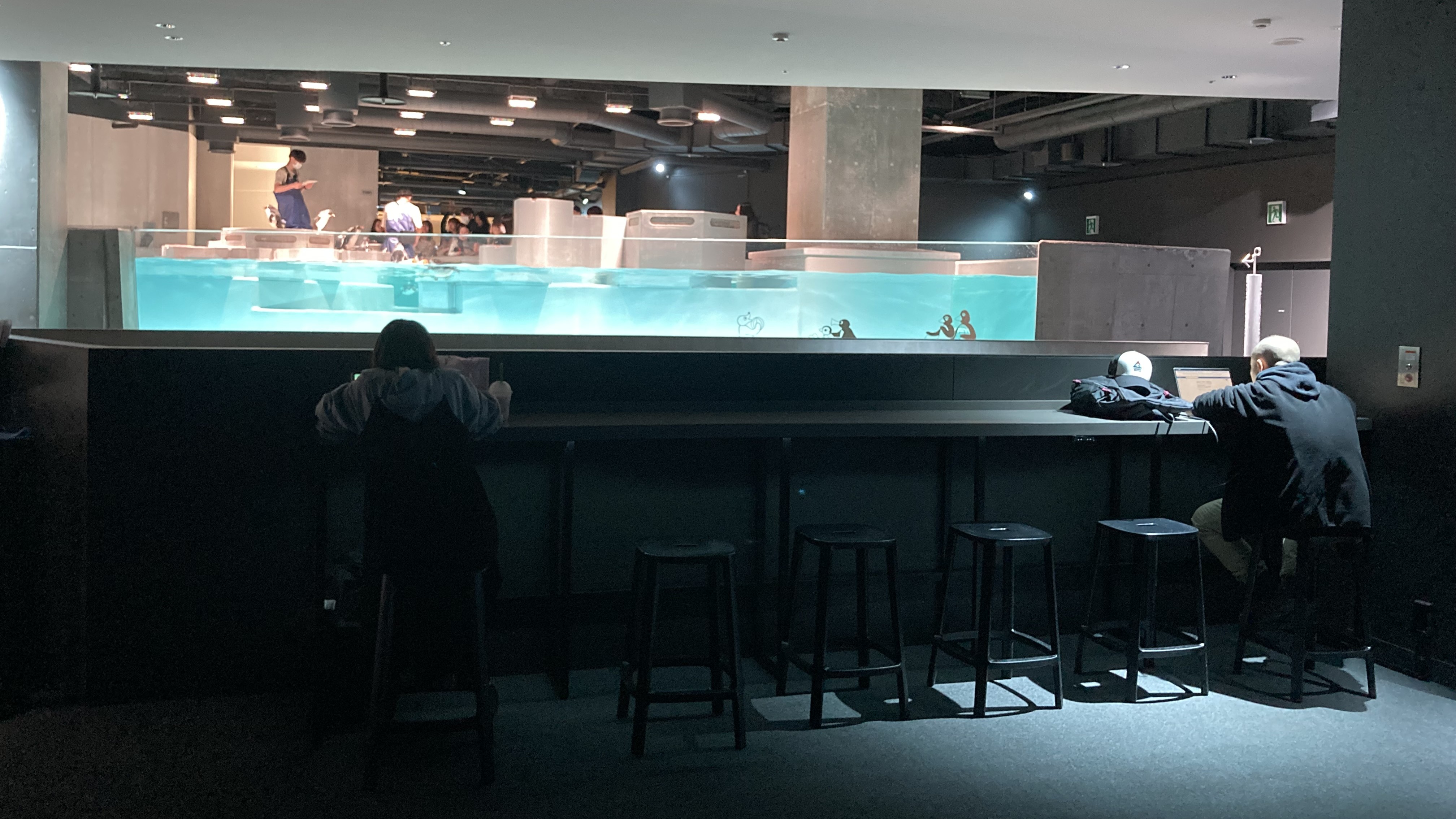 ペンギンの水槽の前で作業に打ち込むお客さん