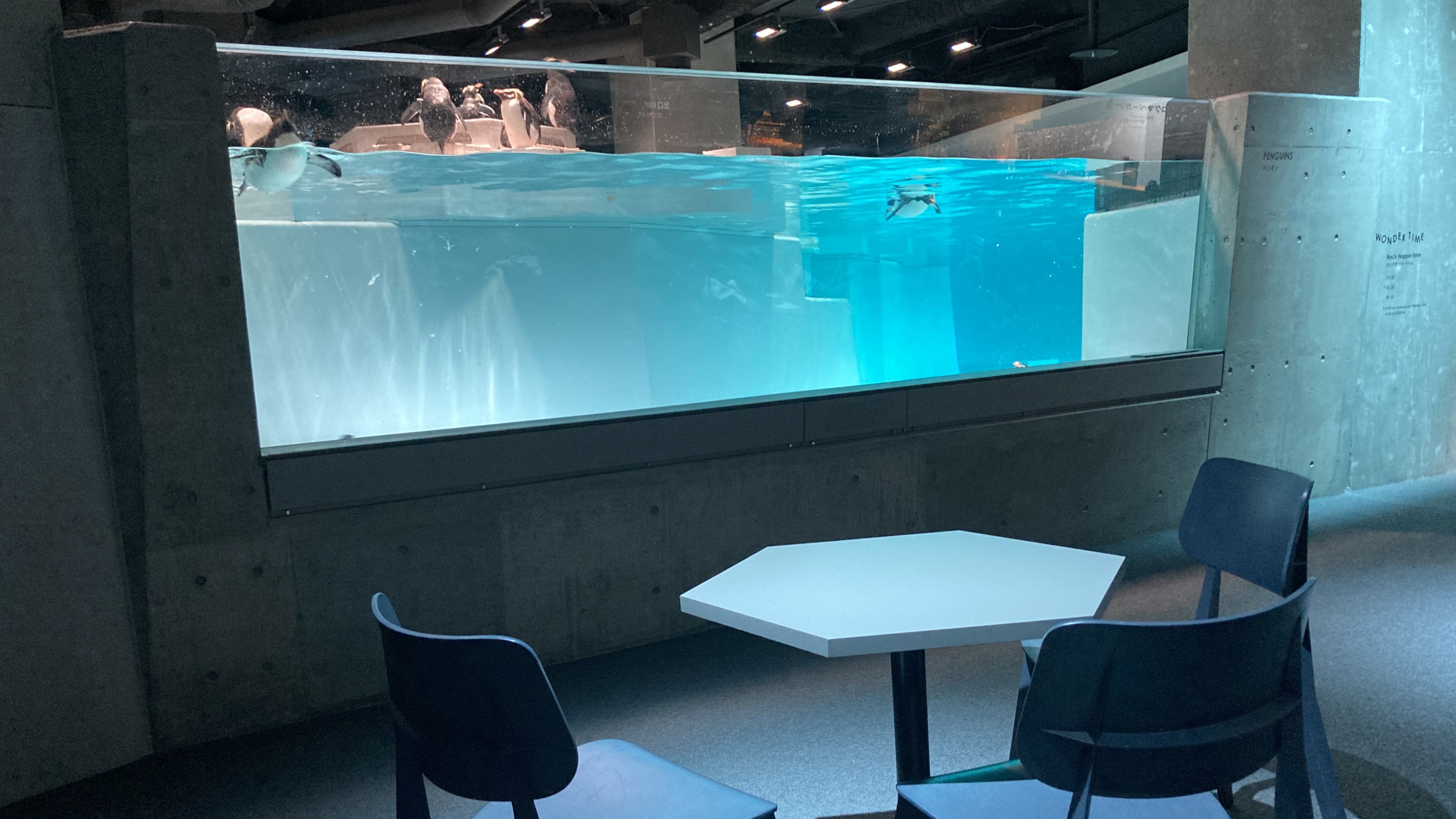 6階の休憩スペース