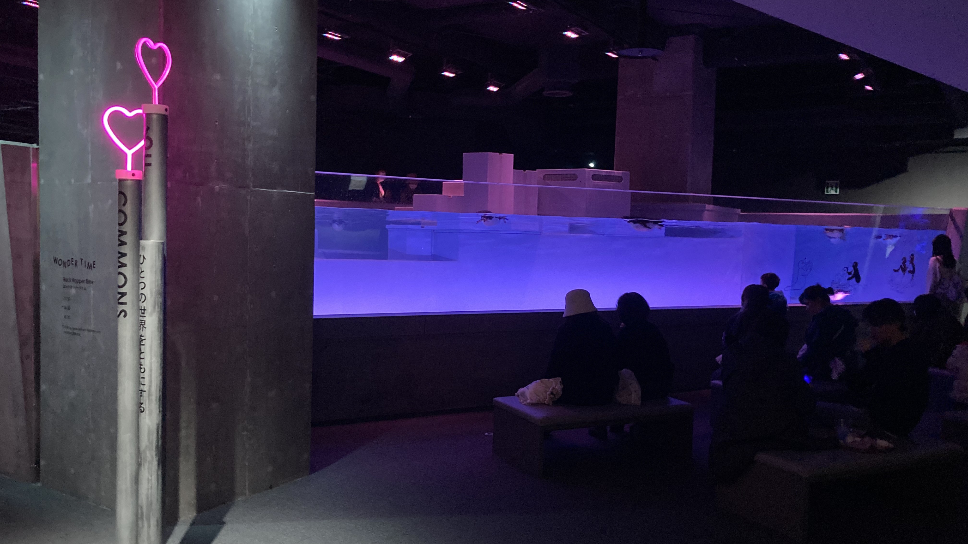 夕方以降は照明も落ち着いた雰囲気に