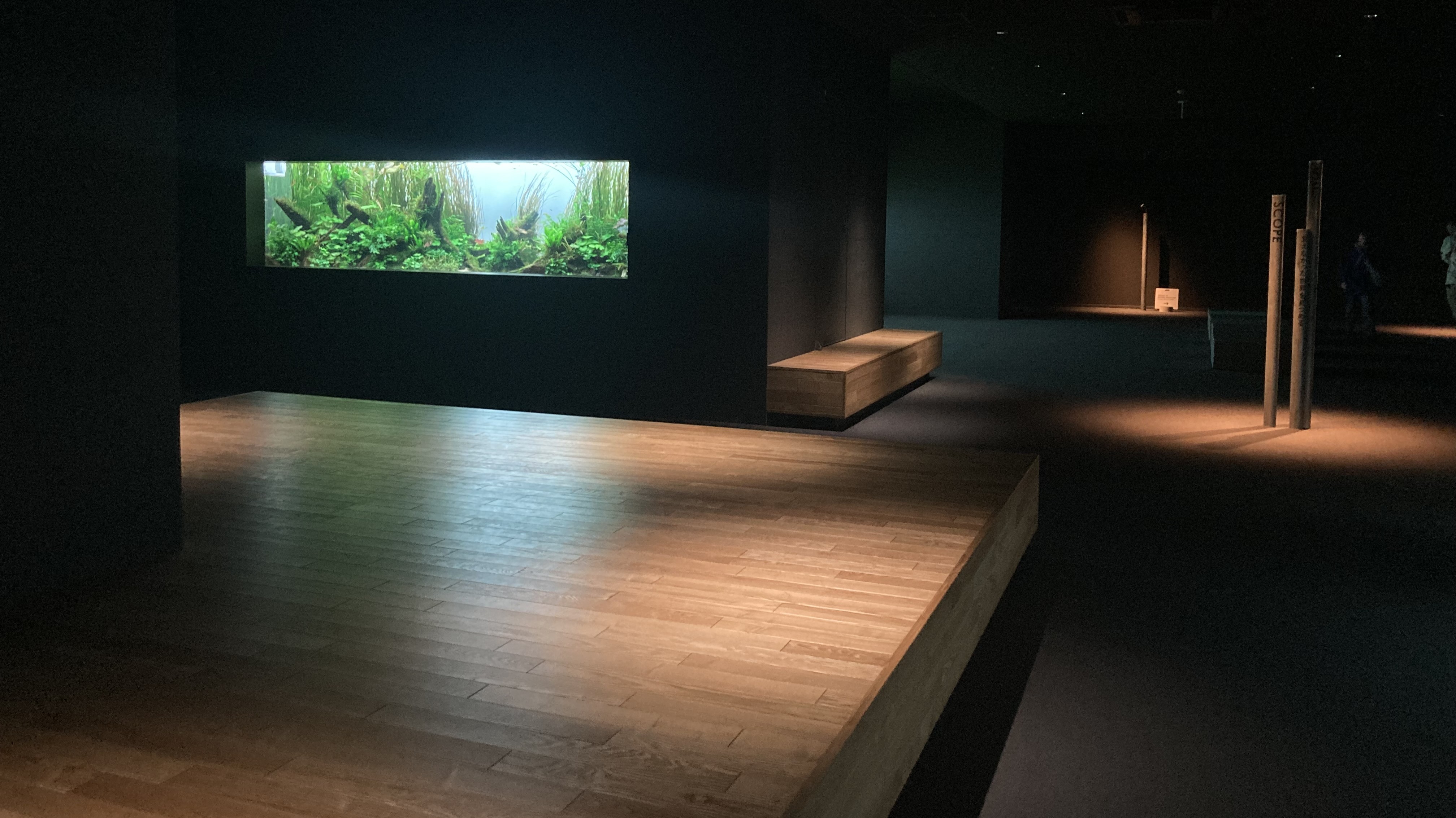 5 階の「ネイチャーアクアリウム」