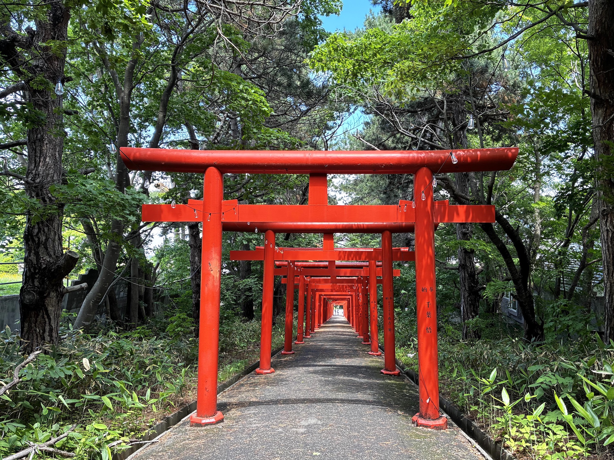 札幌伏見稲荷神社　鳥居